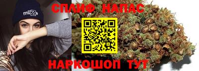 СК Славянск-на-Кубани