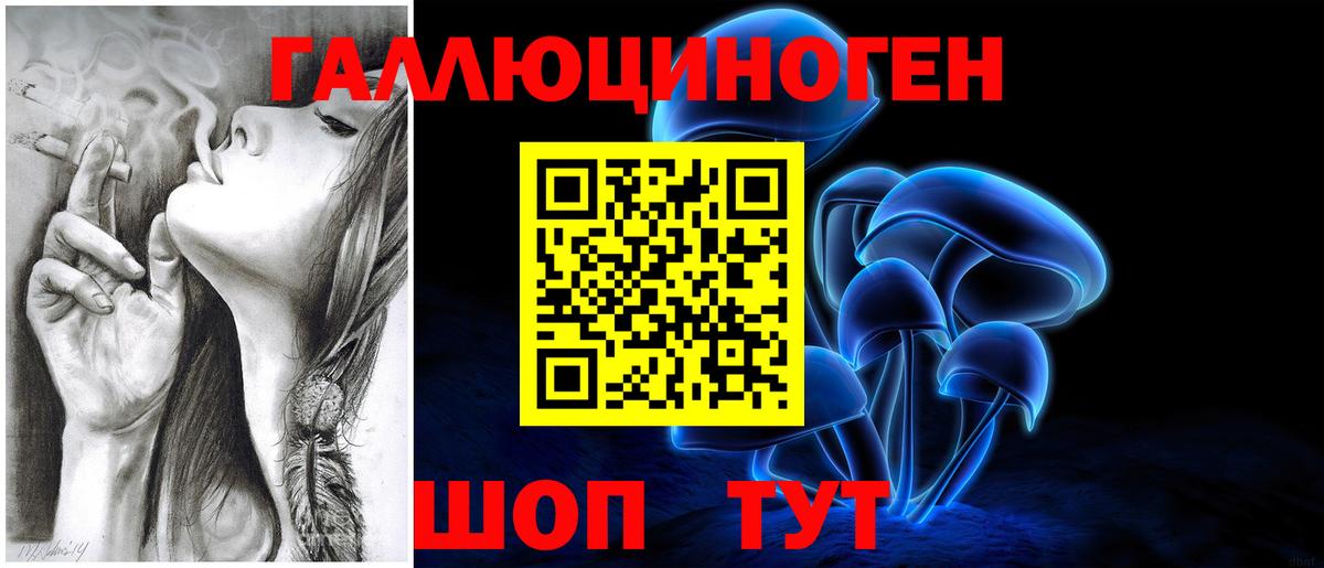 Галлюциногенные грибы Psilocybe Полевской